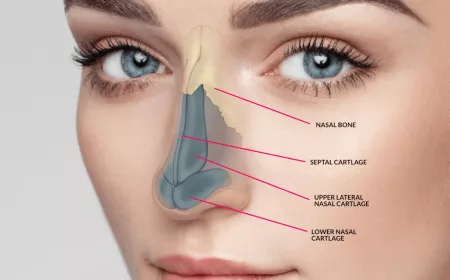 "How Nose Fillers in Dubai Can Enhance Your Facial Harmony"