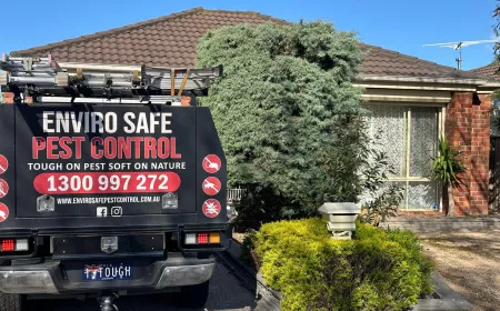 Say Goodbye to Unwanted Guests: Top Pest Control Tips for Every Home