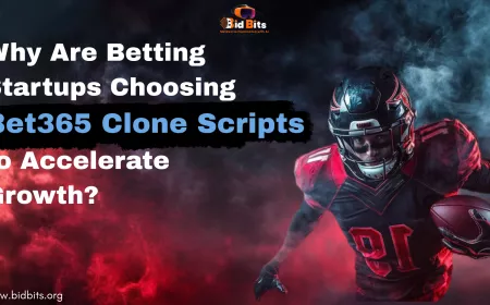 Why Are Betting Startups Choosing Bet365 Clone Scripts to Accelerate Growth?