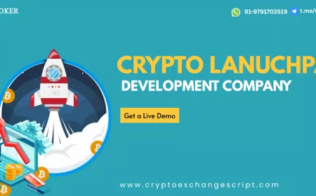Smart Multi-Chain Crypto Launchpad Development Company for the Modern Fundraising