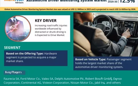 Automotive Driver Monitoring System Market Report 2025–2030: Size, Share & Forecast