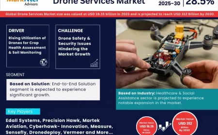 Drone Services Market Report 2025–2030: Size, Share & Forecast