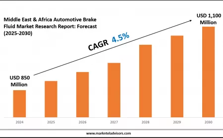 Middle East & Africa Automotive Brake Fluid Industry Trends 2025: Market Size & Growth Forecast