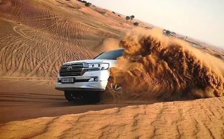 Experience the Thrill of Desert Safari Dubai with My Dubai Desert Safari