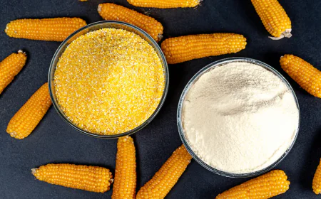 Trusted Corn Flour Powder Manufacturer in Rajasthan Quality You Can Taste!