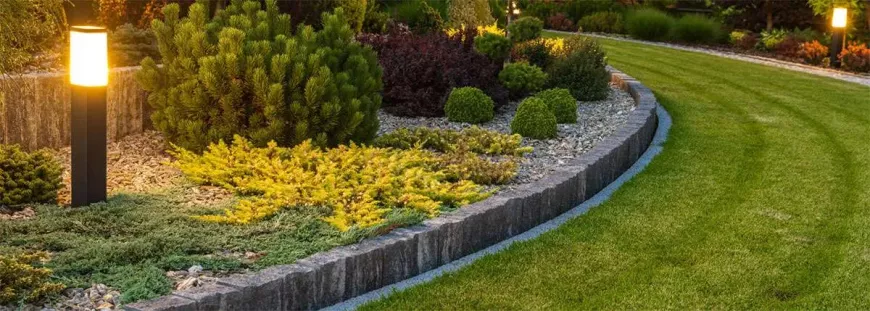 Healthy Lawns, Lasting Impressions: Expert Lawn Care Services in Cape Cod