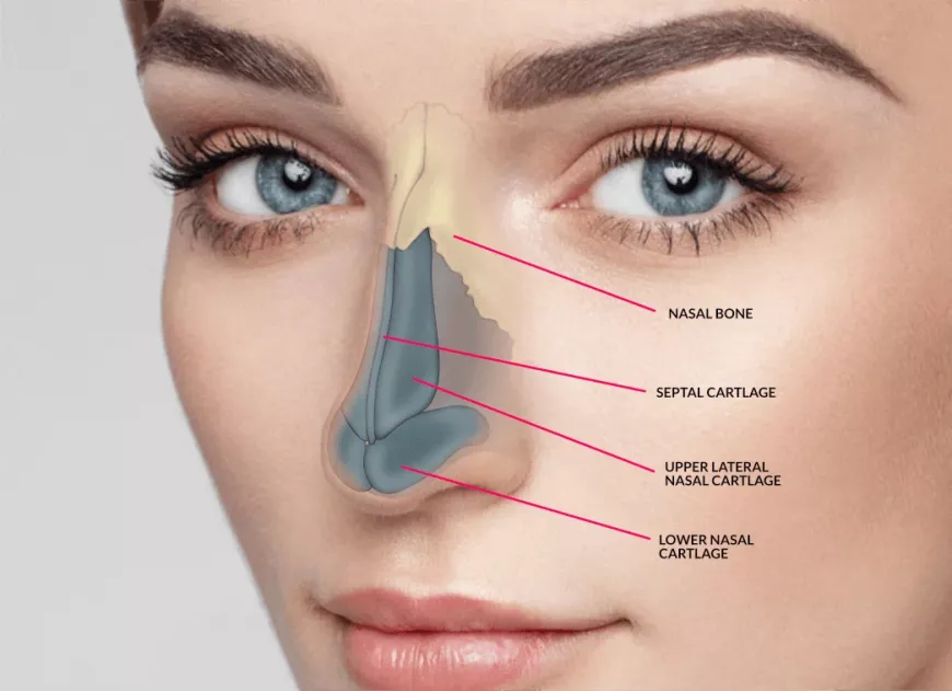 "How Nose Fillers in Dubai Can Enhance Your Facial Harmony"
