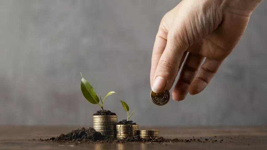 Which is the Best Mutual Fund Software in India for the Covid Era?