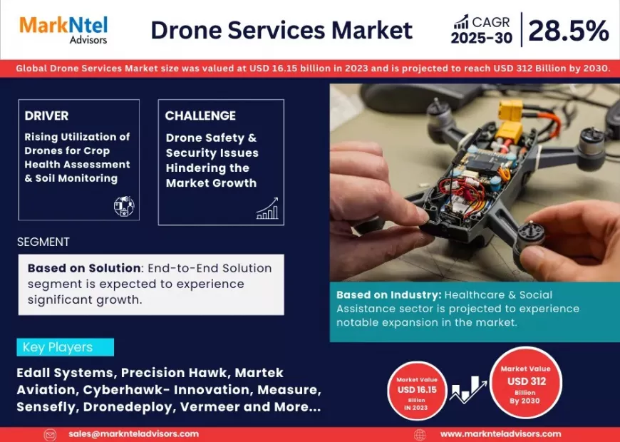 Drone Services Market Report 2025–2030: Size, Share & Forecast
