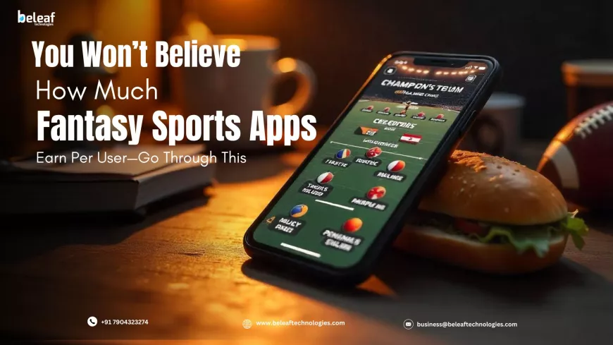 You Won’t Believe How Much Fantasy Sports Apps Earn Per User—Go Through This