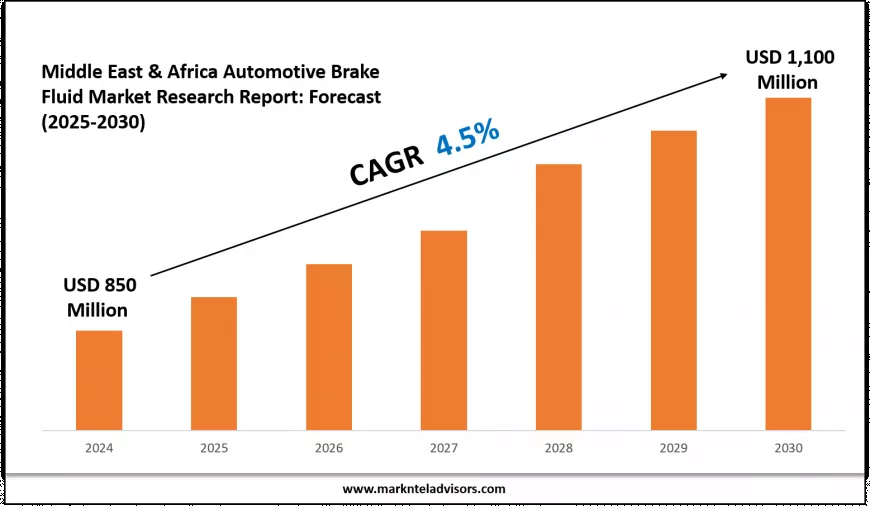 Middle East & Africa Automotive Brake Fluid Industry Trends 2025: Market Size & Growth Forecast