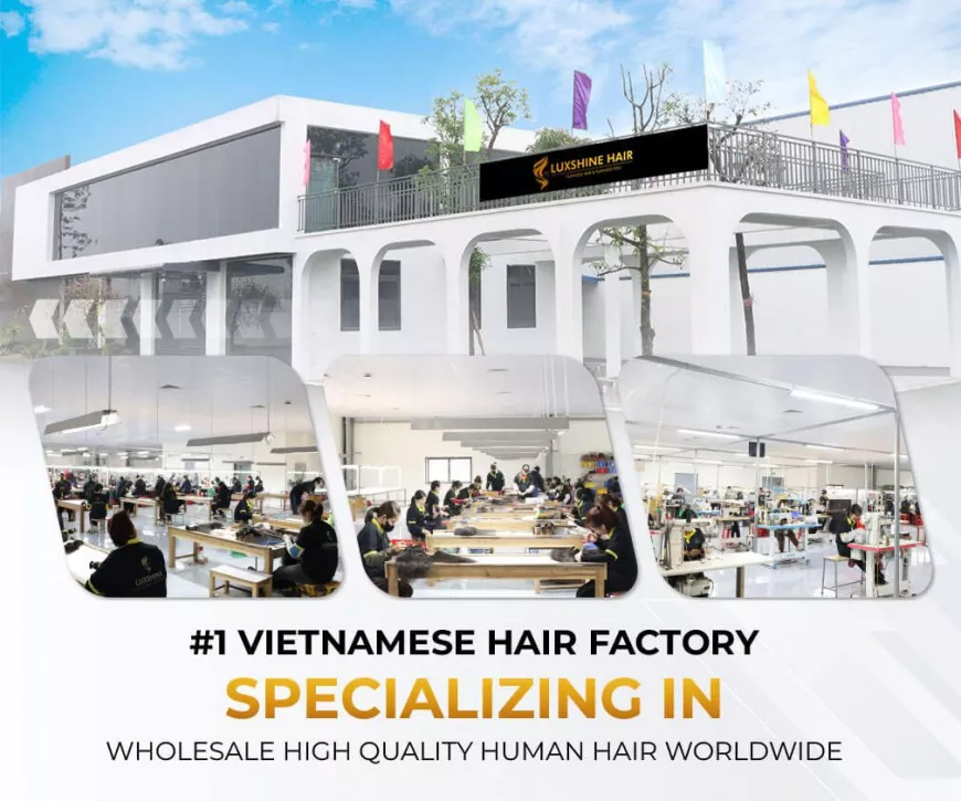 Luxshine Hair - #1 Trusted Vietnamese Hair Vendor, Wholesale Hair Extentions