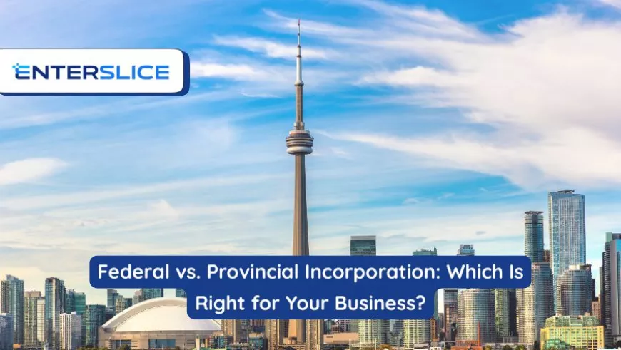 Federal vs. Provincial Incorporation: Which Is Right for Your Business?