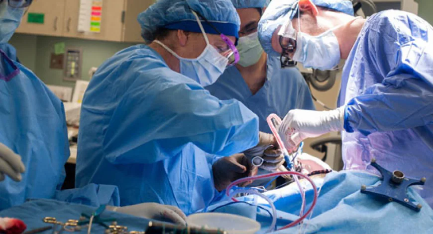 Healthcare: Setting up best hospitals in Kolkata with modern equipment