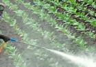 JU Agri Sciences: Smart Crop Protection with Pest Control Chemicals and Sulphur Tebuconazole