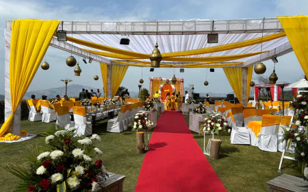 What to Expect When Staying at a Resort in Chail