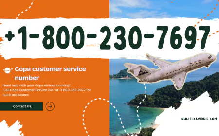 How do I talk to a human at copa? All Different Choices Are Here!