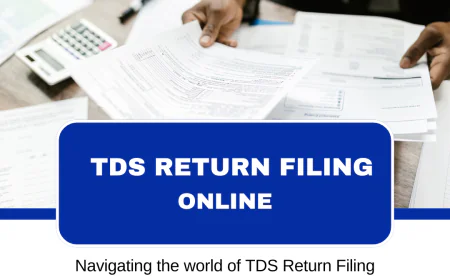 TDS Return Filing Online: Everything You Must Know in 2025