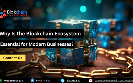 Why Is the Blockchain Ecosystem Essential for Modern Businesses?