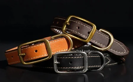 Why Dog Collars Leather Are the Best Choice for Your Furry Friend