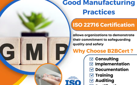 ISO 22716 Certification in Tampa: Ensuring Cosmetic Product Safety and Quality