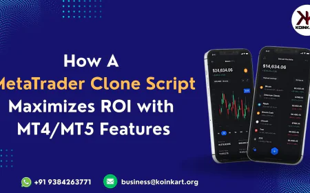 How a Metatrader Clone Script Maximizes ROI with MT4/MT5 Features