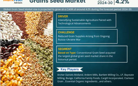 Top 5 Trends Shaping the Future of Grain Seed Market