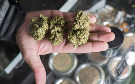 Find out if your state allows cannabis legally