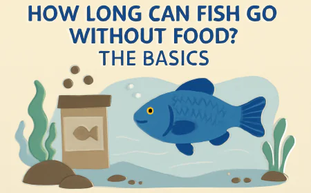 How Long Can Fish Go Without Food? The Basics