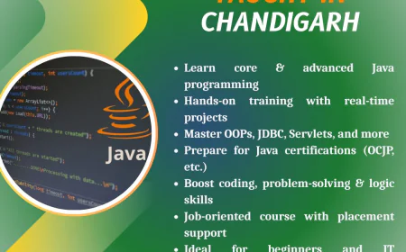 What to Expect from Expert-Led Java Classes