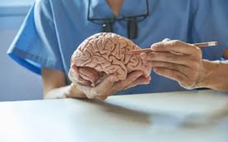 Best Brain Aneurysm Repair Hospitals and Cost in India