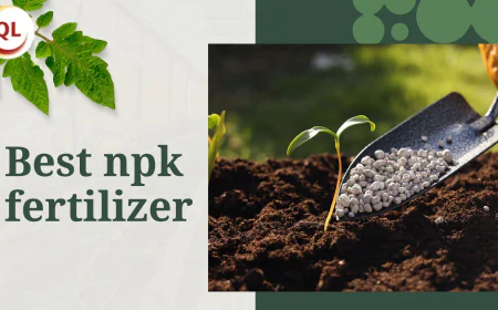The Best NPK Fertilizer for Tropical Agriculture: Qlfarms' Recommendation