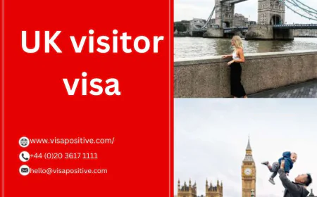 Everything You Need to Know About the UK Visitor Visa