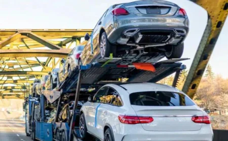 Florida Car Shipping Services Made Simple with Transport Masters USA