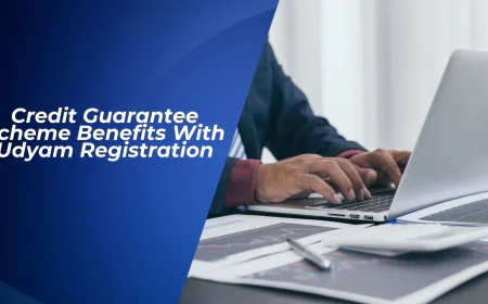 Credit Guarantee Scheme Benefits With Udyam Registration