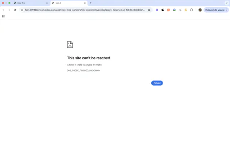 Discover the Best Bakeries in UAE: A Journey Through the Most Delicious Delights