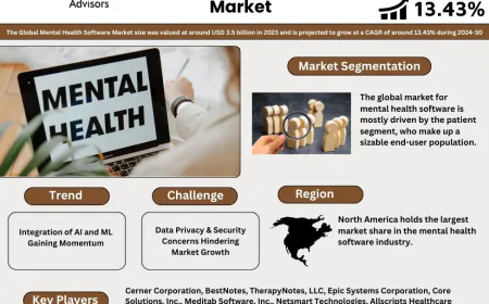 Mental Health Software Market Insights 2024–2030: Size, Share & Key Highlights