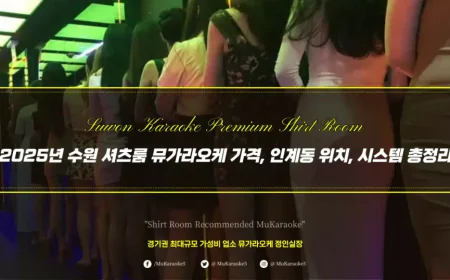 셔츠룸이 뭐야? 처음 가는 사람들을 위한 완벽 가이드