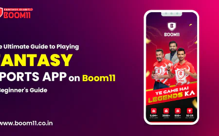 The Ultimate Guide to Playing Fantasy Sports on Boom11: A Beginner's Guide