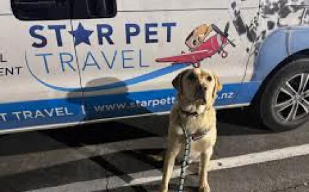 Paws, Passports & Paradise: The Ultimate Guide to Costa Rica Pet Travel