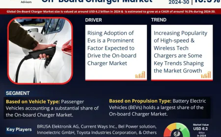 On-Board Charger Market Research 2024–2030: Growth, Size & Opportunities