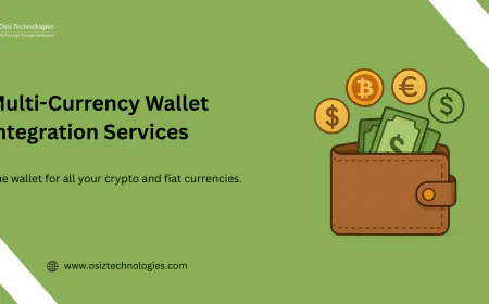 Explore How Multi-Currency Wallet Integration Is Reshaping Digital Payments