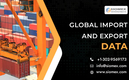 How Customs Data Reveals Market Opportunities