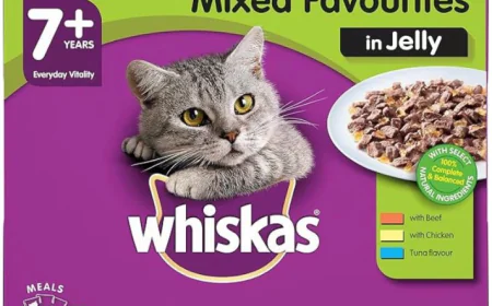 Healthy Cat Food with Mixed Favorites in Jelly