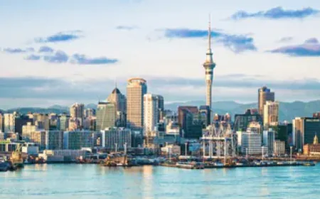 Plan Your Future with a Reliable New Zealand Study Abroad Agency
