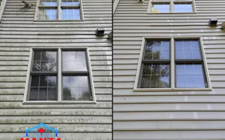 Why Softwash Roof Cleaning Actually Makes Sense