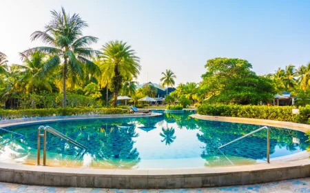Unique Ideas for Custom Pools in Houston Homes