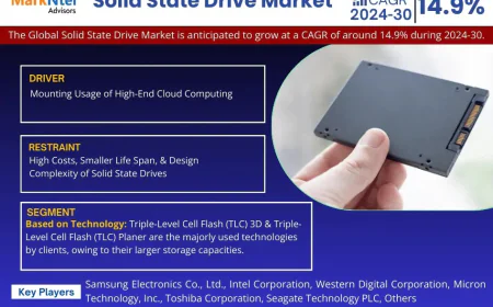 Solid State Drive Market Research 2024–2030: Growth, Size & Opportunities