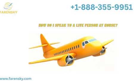 How Do I Speak To Someone At Norse? It's Easier Now