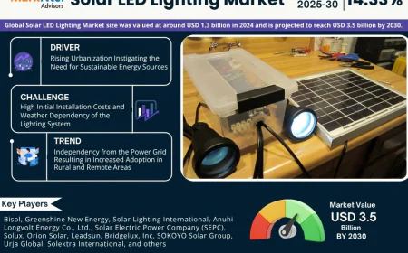 Solar LED Lighting Market Research 2025–2030: Growth, Size & Opportunities